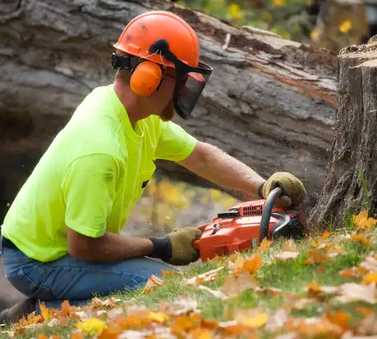 tree services Seligman